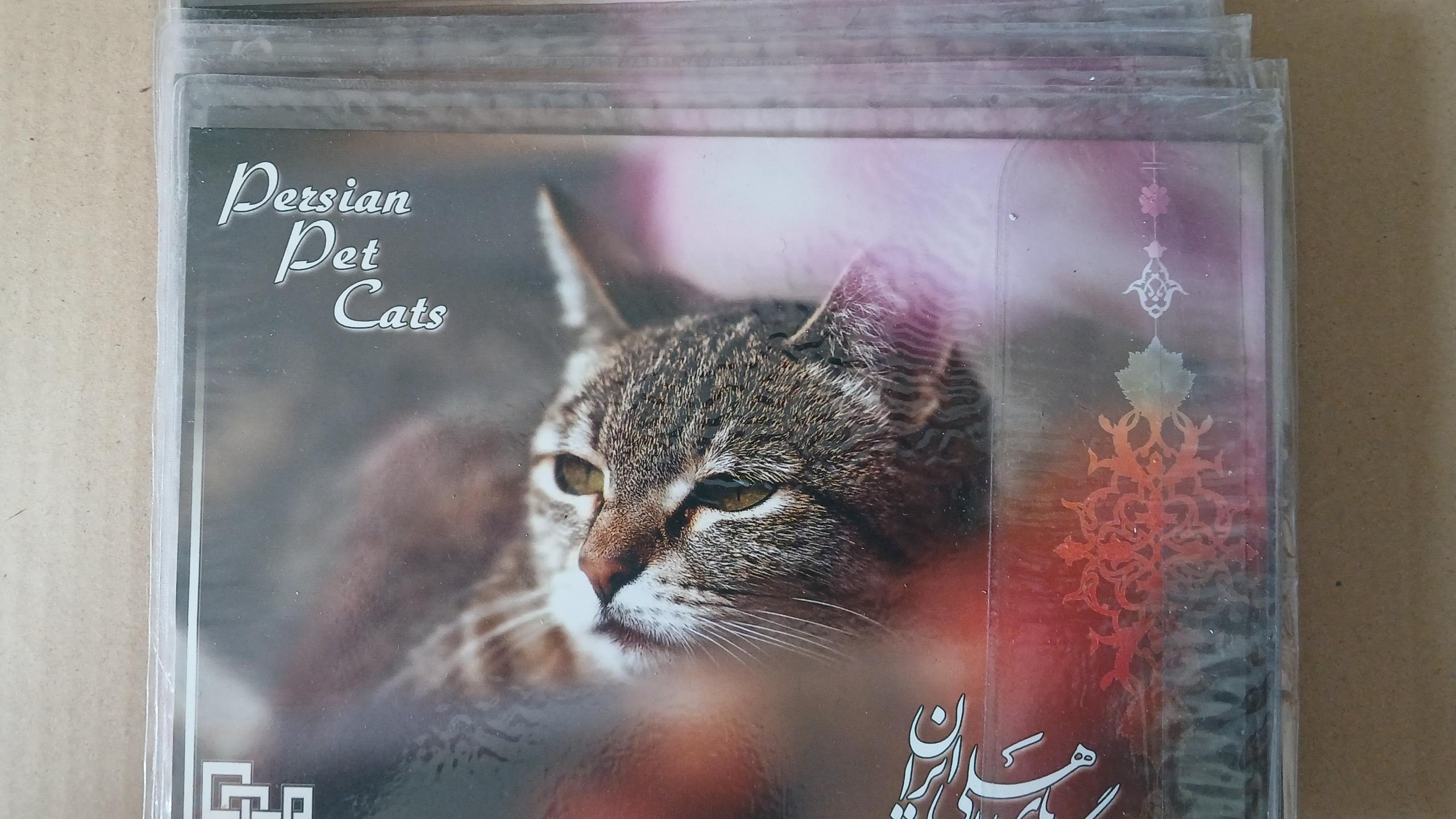 10 البوم گربه های اهلی ایرانی توضیحات دارد