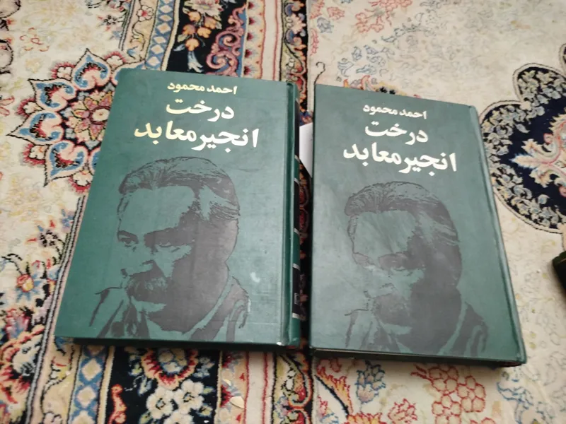 درخت انجیر معابد ،احمد محمود