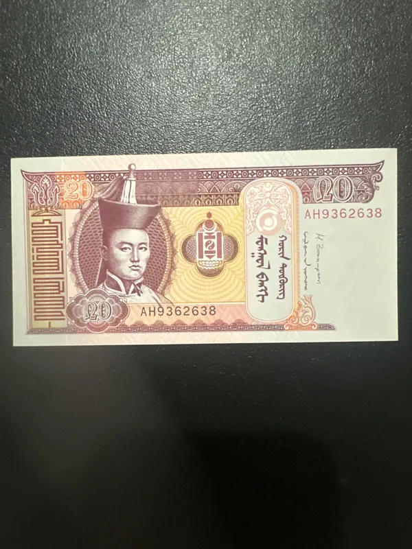 اسکناس 20 توگروگ مغولستان