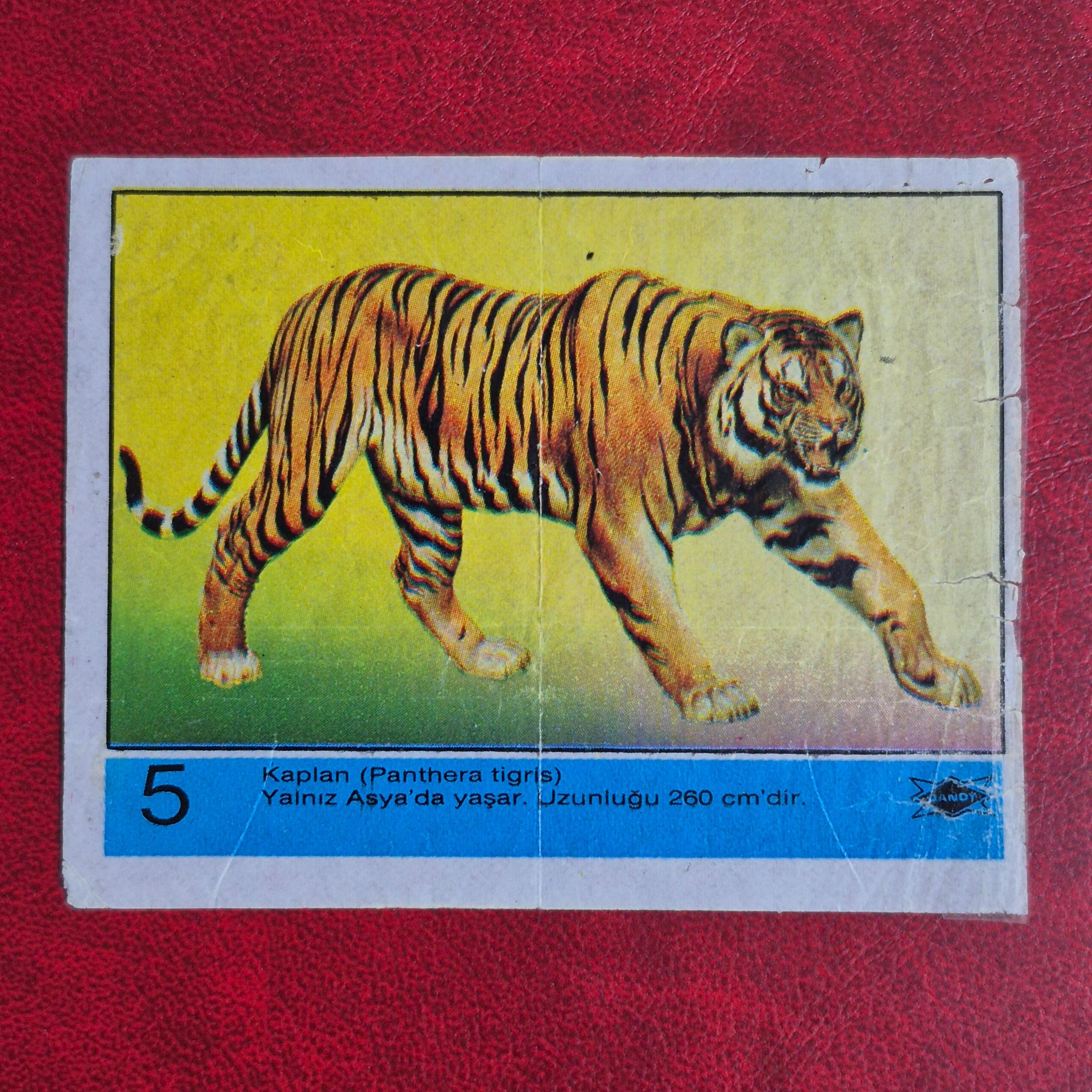 یک برگ کولا حیوانات