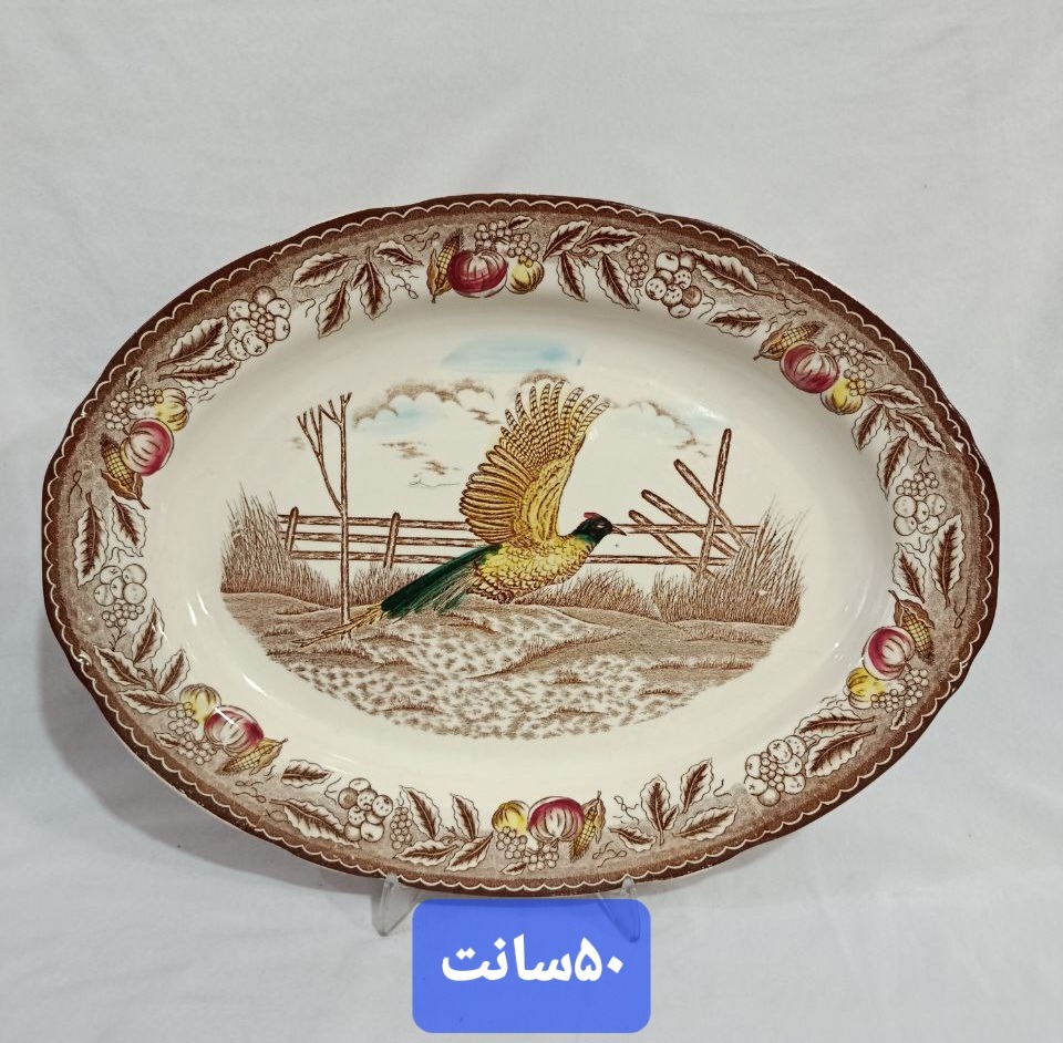 دیس قدیمی بزرگ