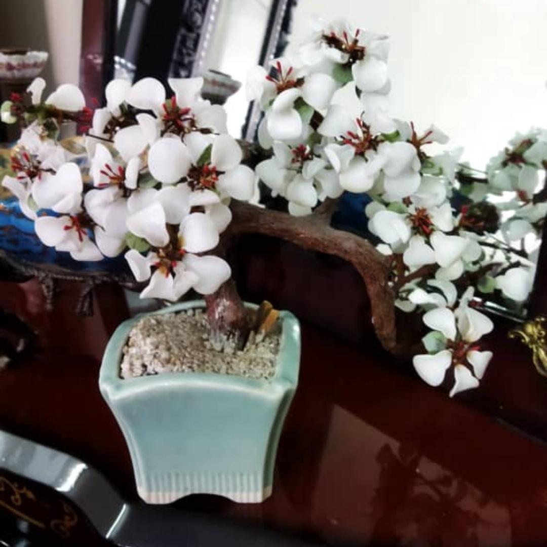 یک عدد گلدان گل چینی بزرگ
