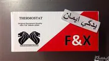 ترموستات