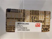 سنسور
