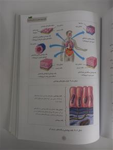 زیست