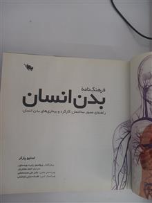 فرهنگ