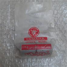 بوش