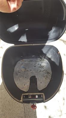 باکس