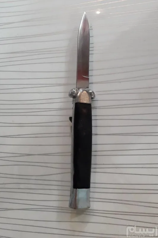 چاقو مارکROSTFREIاصل ارزش به دلار داره،