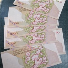 شیش