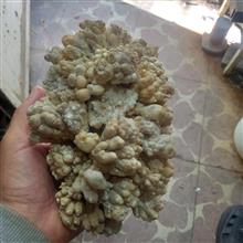 سنگ