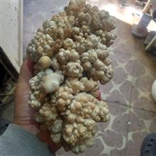 سنگ