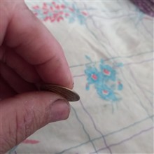 سکه