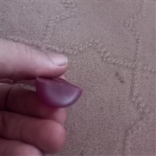 یاقوت