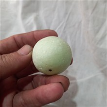 گوهر