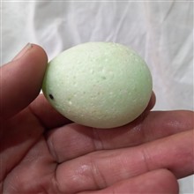 گوهر