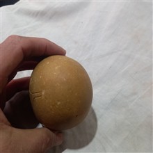 سنگ