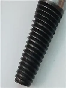 چپگرد