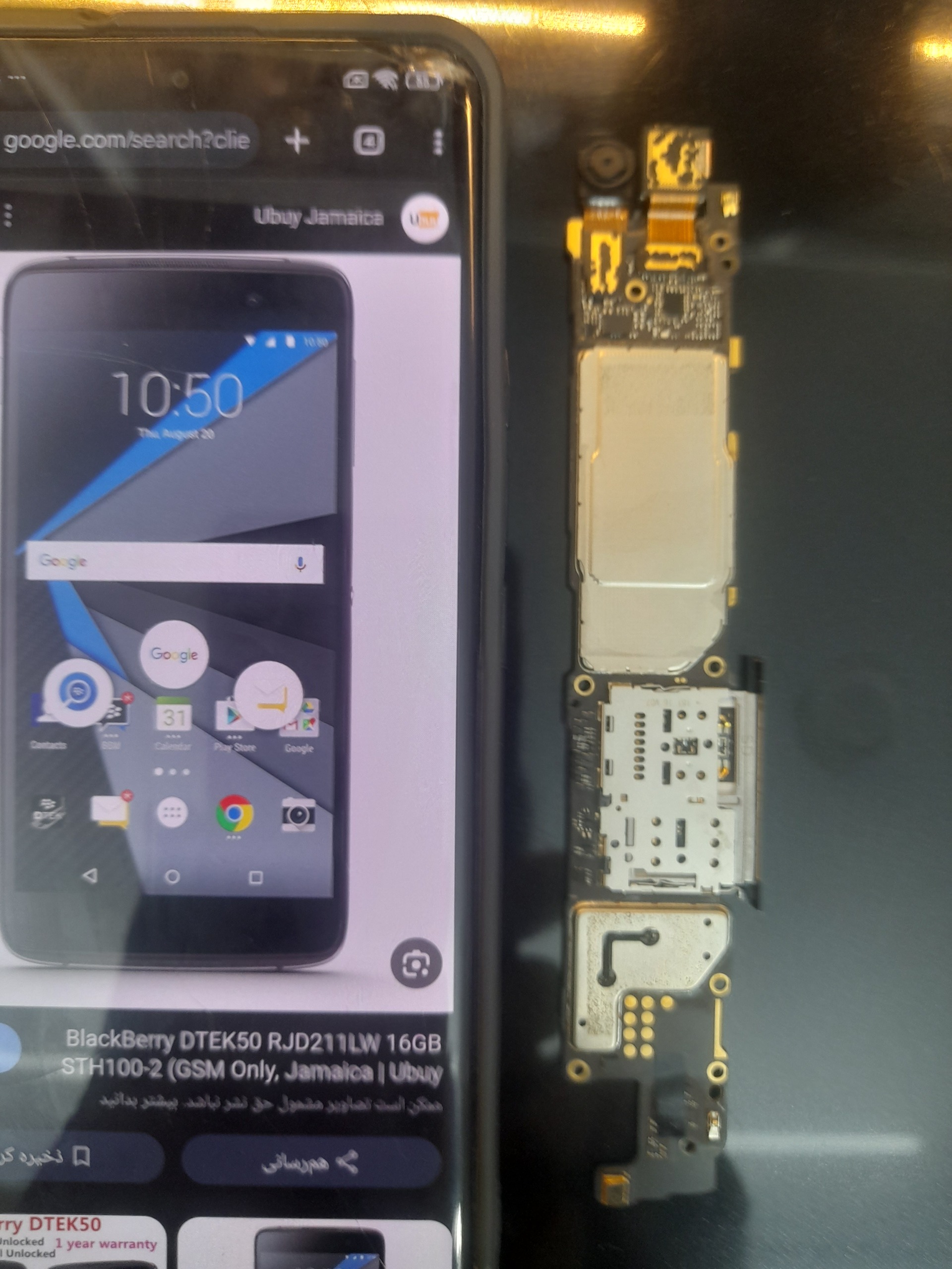 برد بلک بری   Blackberry Dtek50