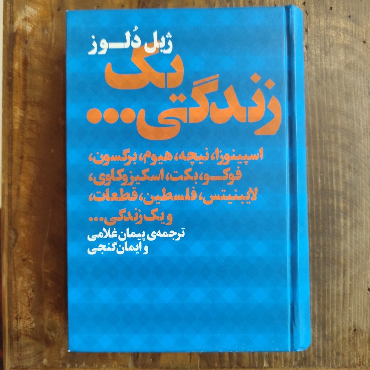 یک زندگی (ژیل دلوز)