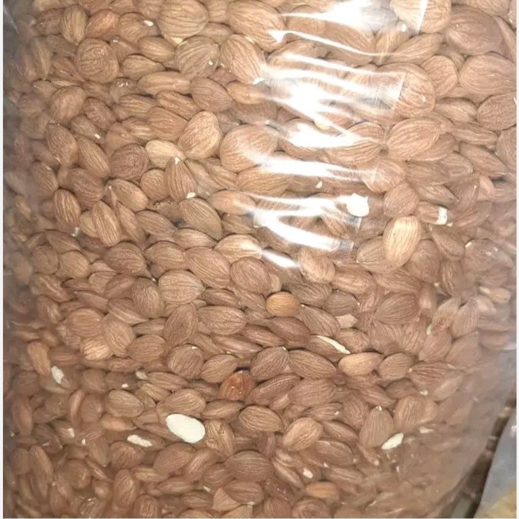 مغز هسته تلخ زردآلو مراغه