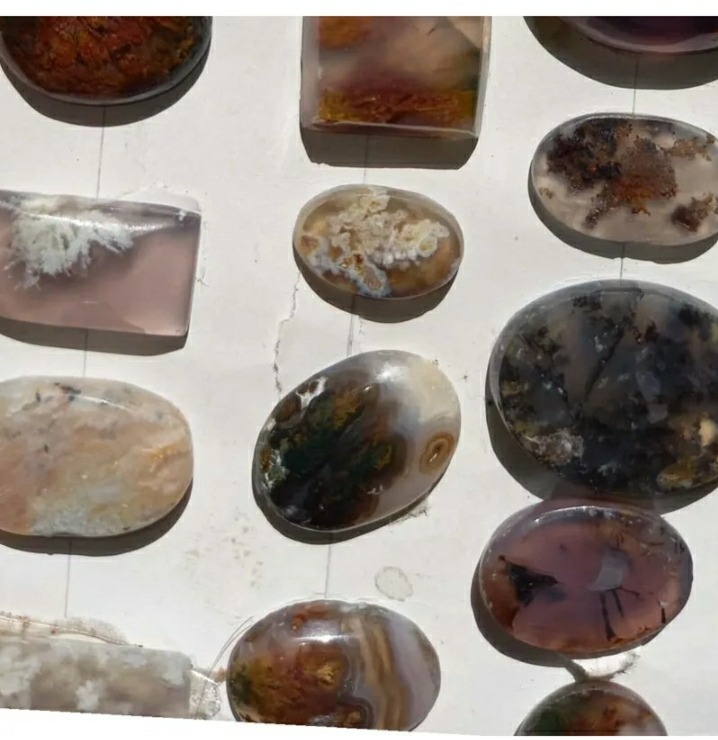 28 عدد سنگ شجر بسیار زیبا