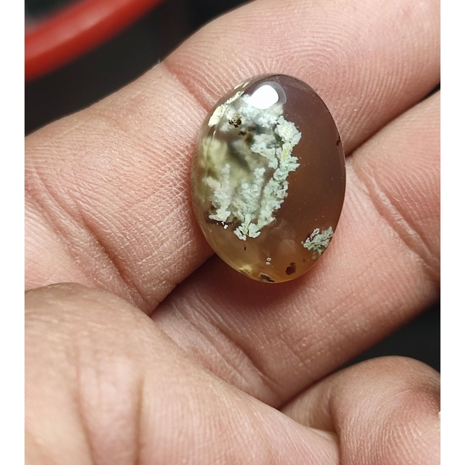 نگین شجر بهاری