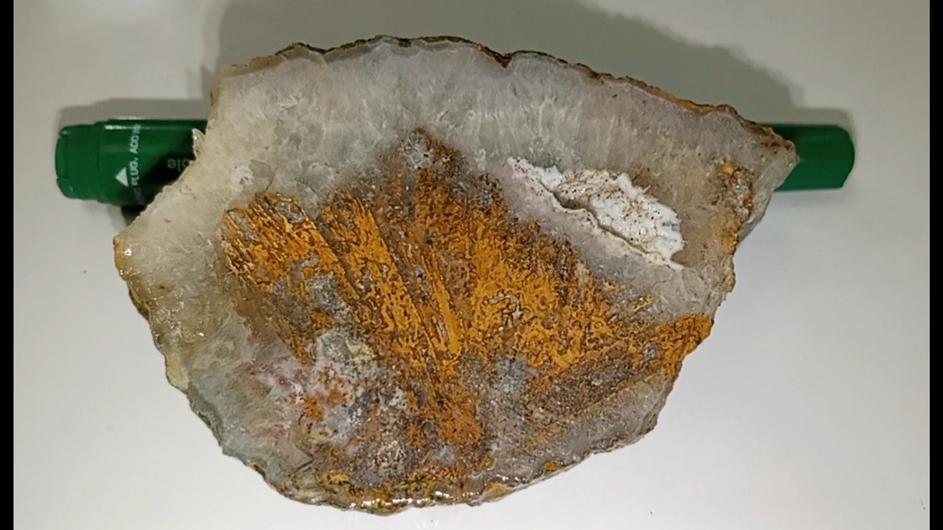 اسلایس کوارتز زیبا با مرکزیت شجر  268 گرم