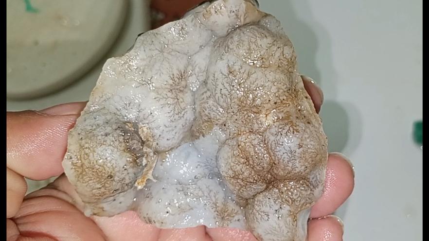 عقیق تاولی با شجرهای درختی ناب 155 گرم(توضیحات)