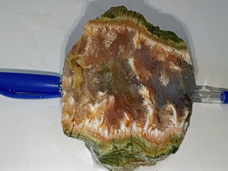 اسلایس شجر زیبا  269 گرم