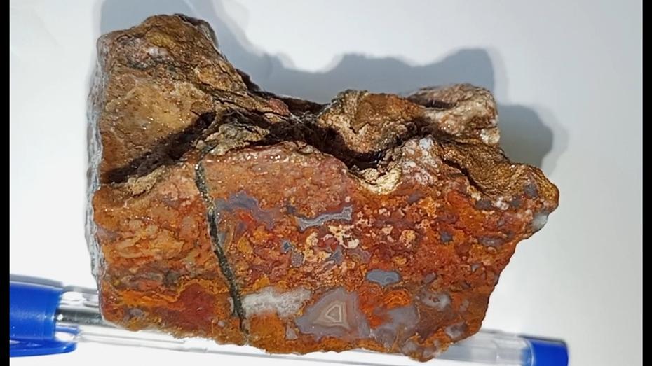 اسلایس شجر زیبا  253 گرم