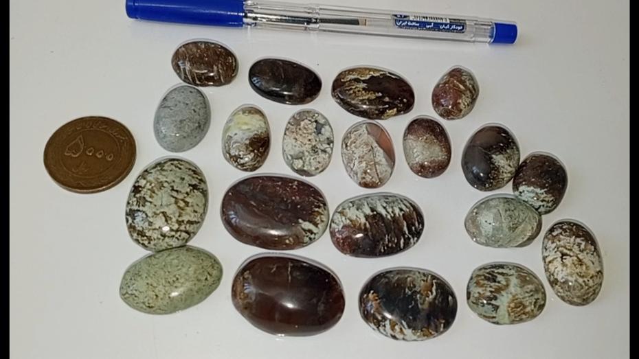 مجموعه 20 عددی جاسبر  و شجر