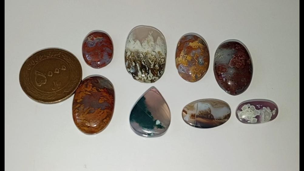 مجموعه 8 عددی   شجر زیبا