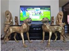 جفت