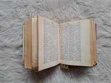 دیکشنری