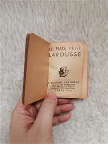 دیکشنری