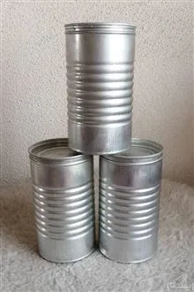 قوطی