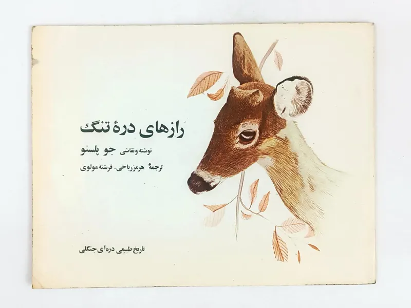 کتاب رازهای دره تنگ - امیرکبیر