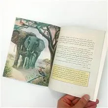 مجموعه