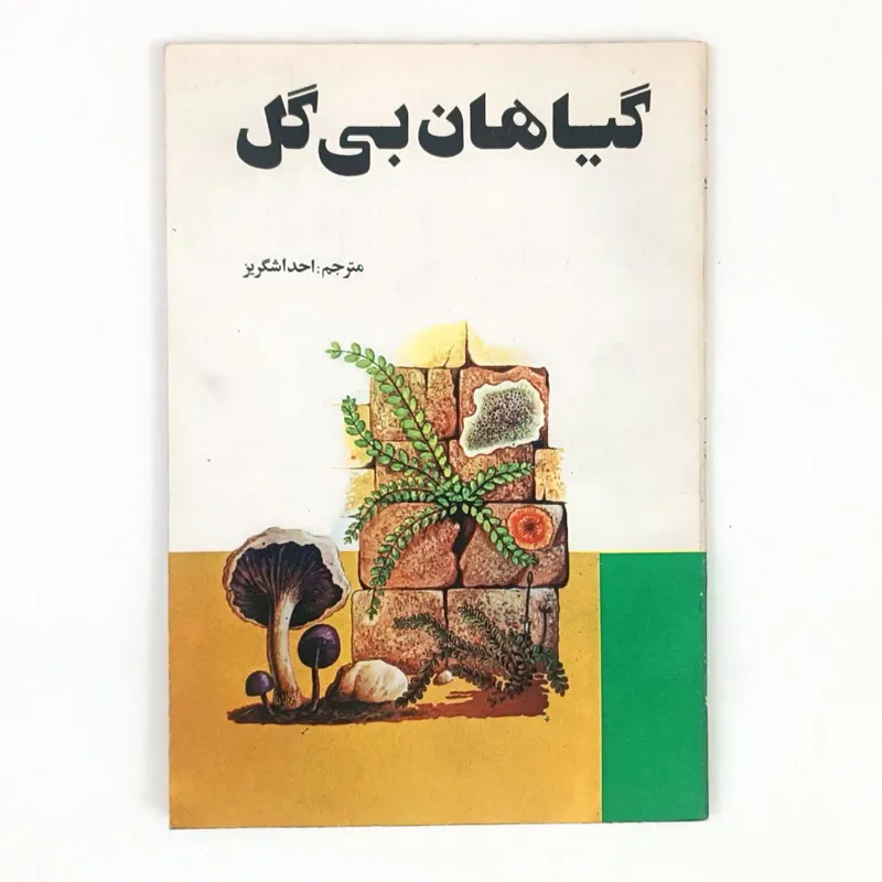 کتاب گیاهان بی گل - اشگریز - حکمت