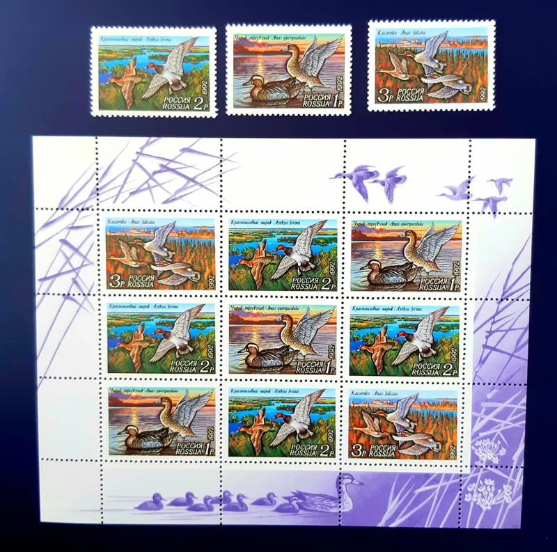 سری کامل تمبر و مینی شیت اردک ها چاپ روسیه