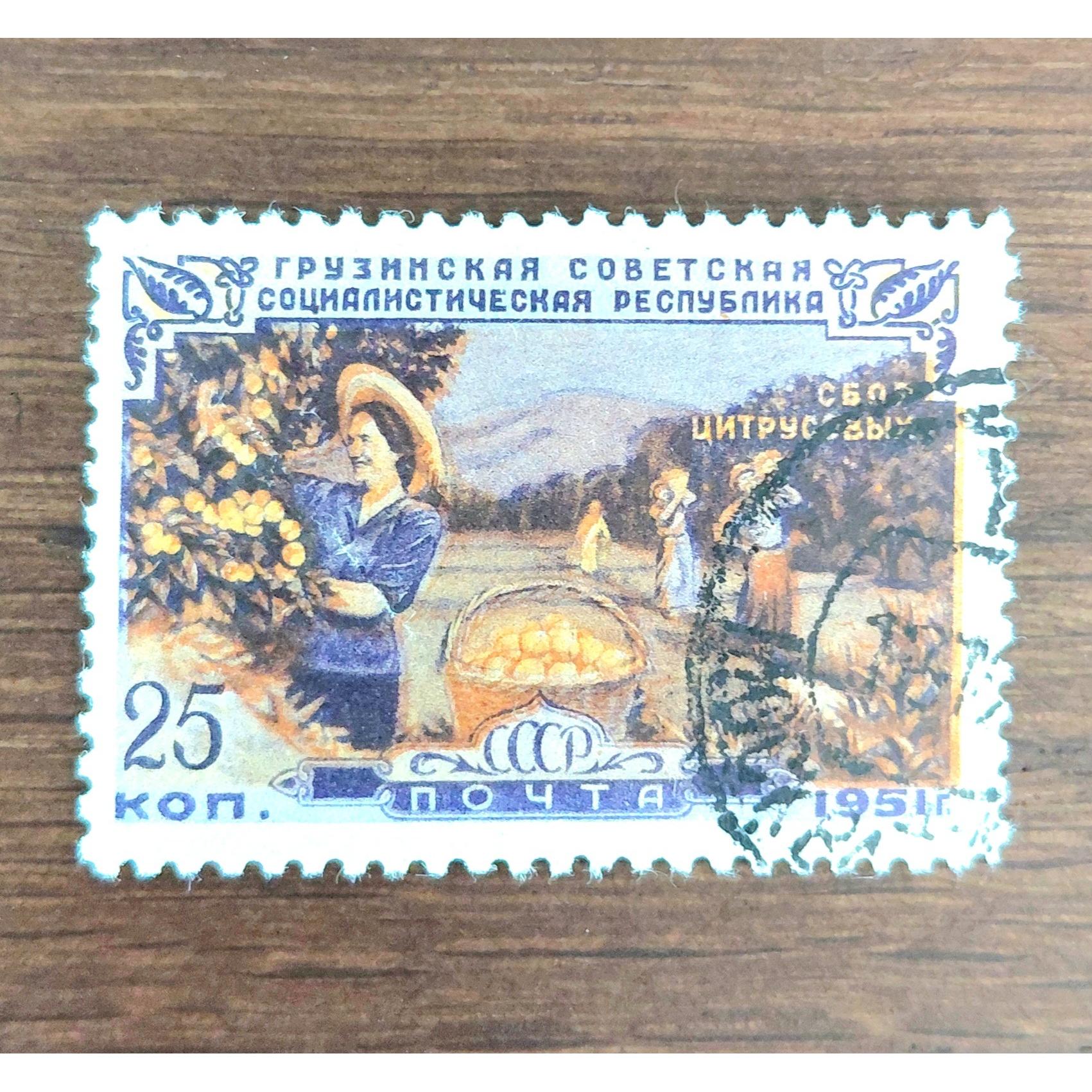 تمبر کلاسیک کشاورزی شوروی 1951