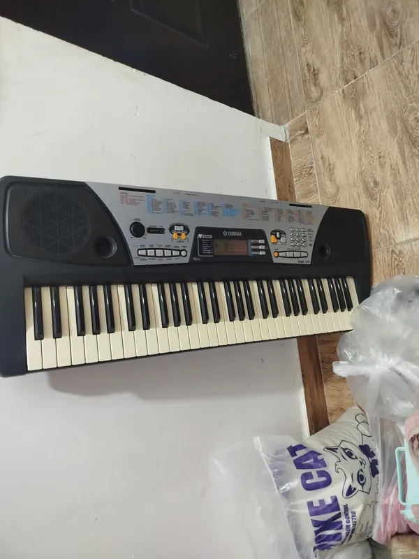 فروش ارگ سالم