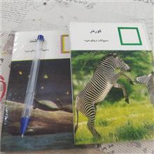 کتابچه