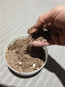خاک