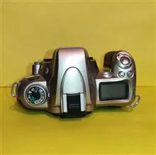 بدنه