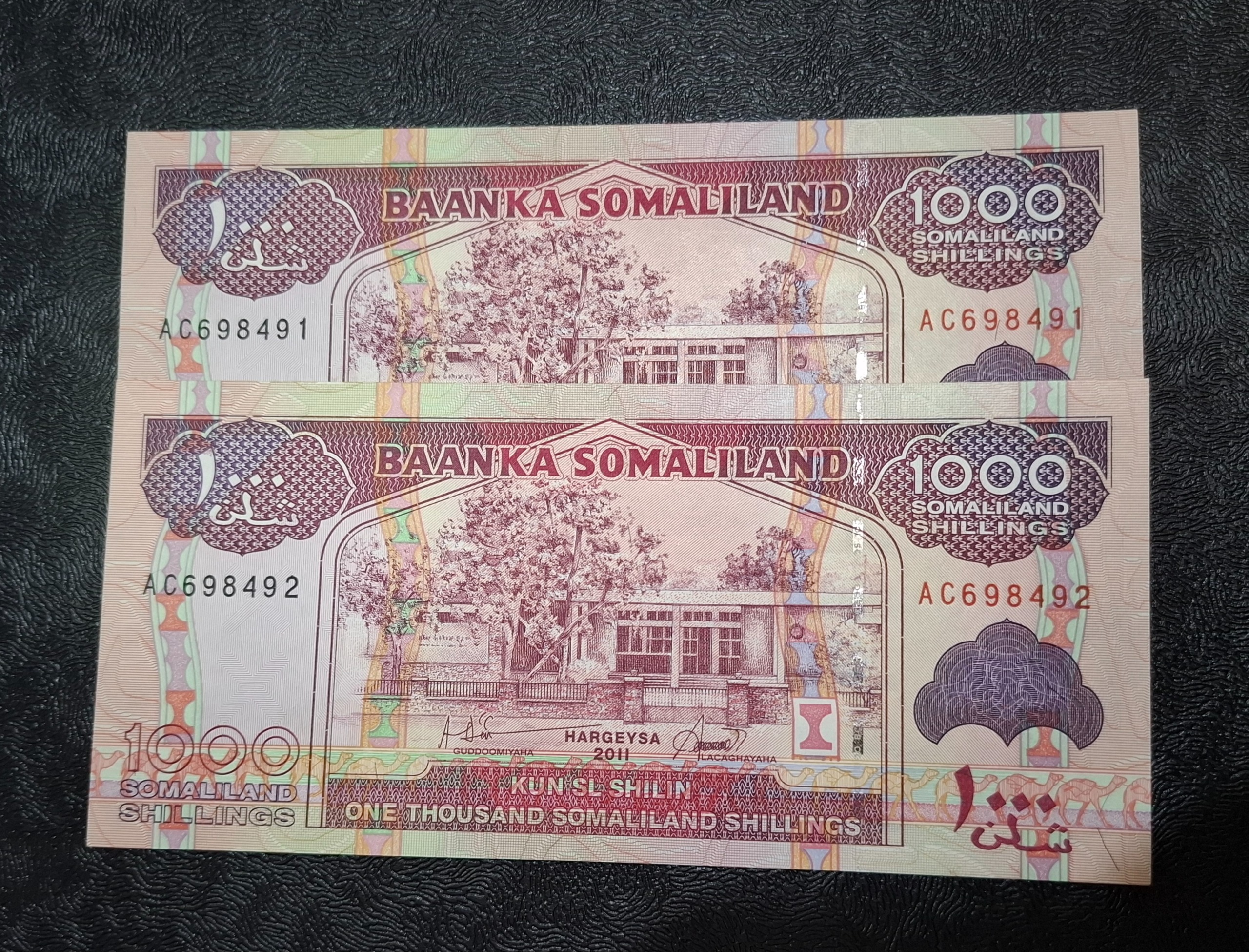 اسکناس 1000 شیلینگ سومالی لند