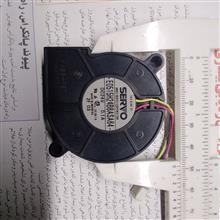 فن