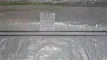 شفت