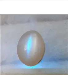 چشم